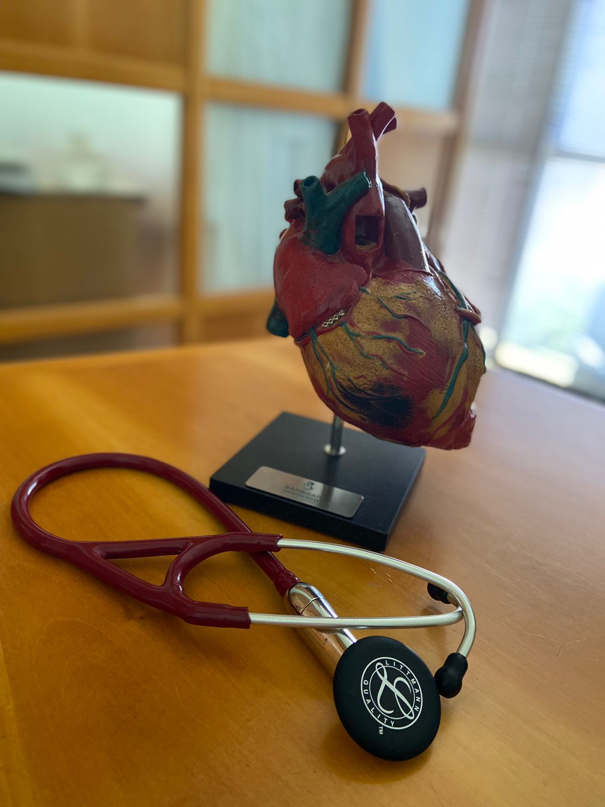 Treinamento médico da equipe Barbisan